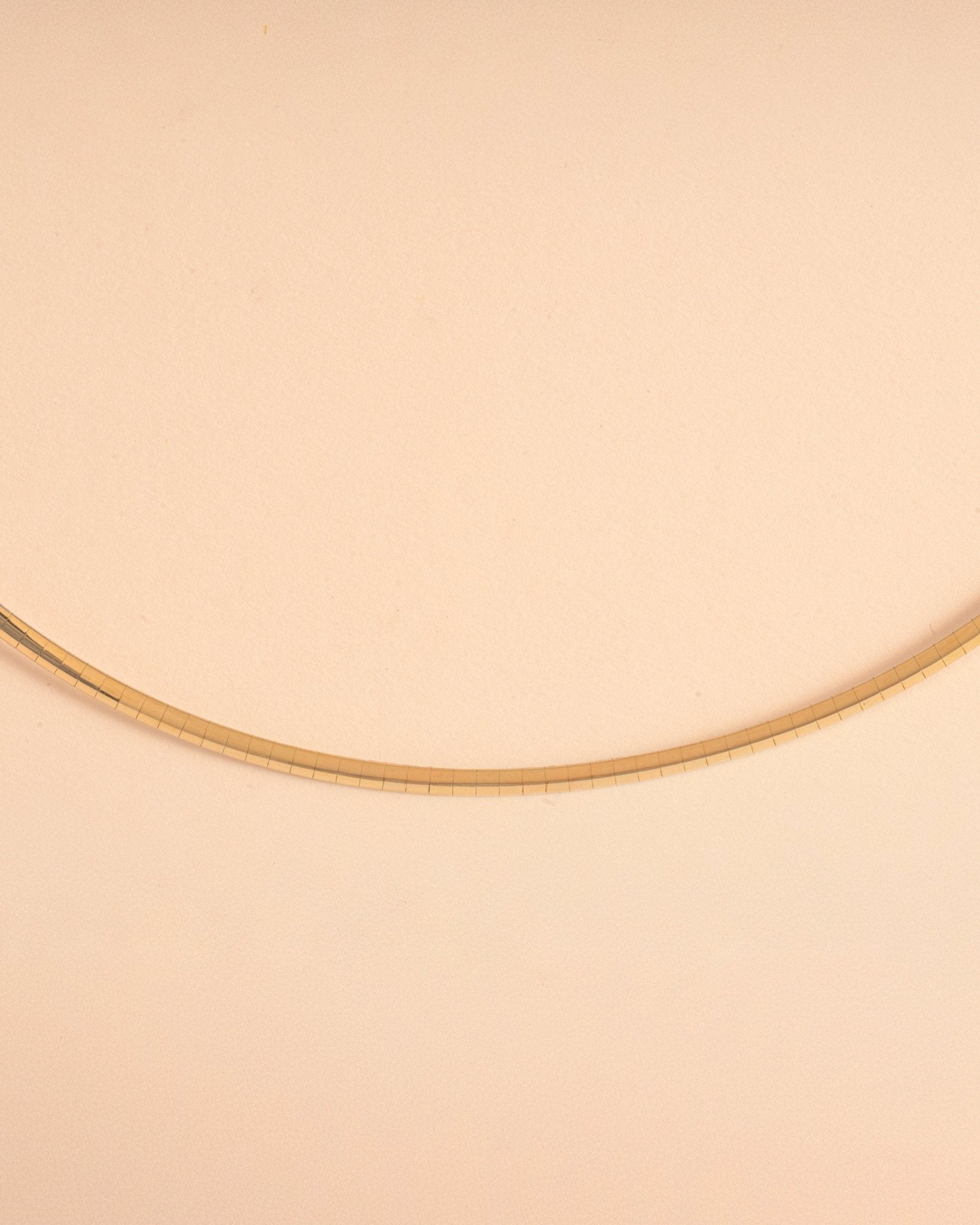 Two Tone Reversible Omega Necklace - Sparkle Society