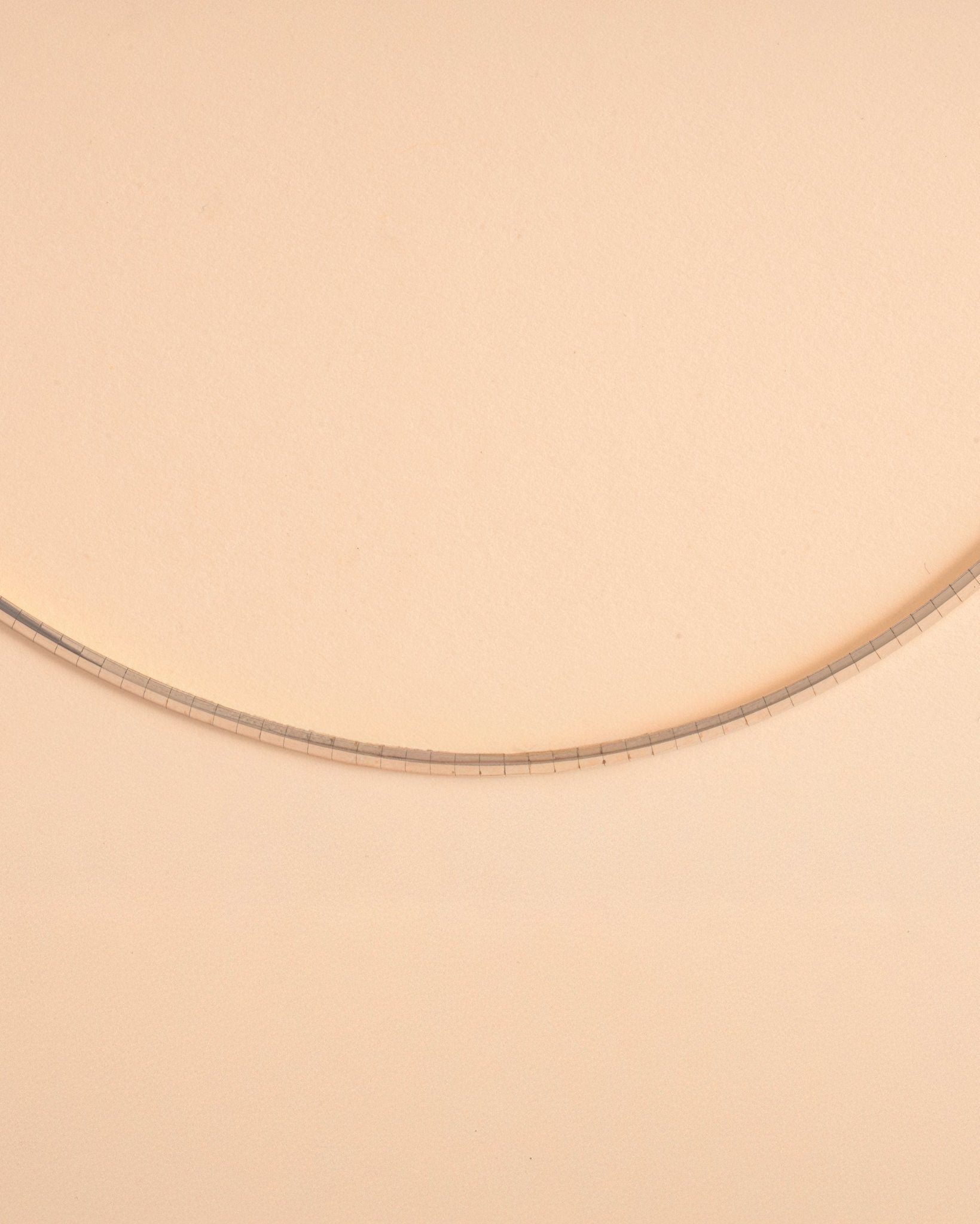 Two Tone Reversible Omega Necklace - Sparkle Society